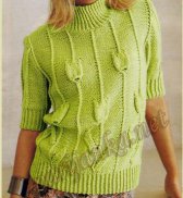 Пуловер с короткими рукавами 547 BDF
